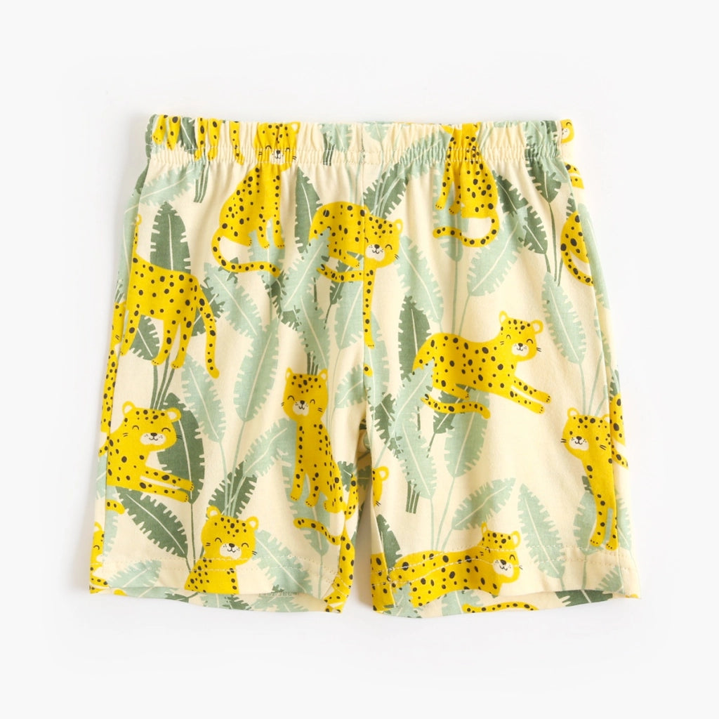 172266167366adbb29451948822737